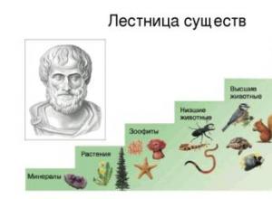 History of the development of vertebrate zoology